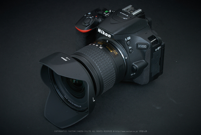 Nikon AF-P DX NIKKOR 10-20MM F 4.5-5.6G…